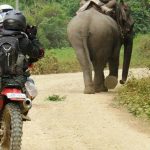 Off Road Laos Adventure - Elephant Trailing