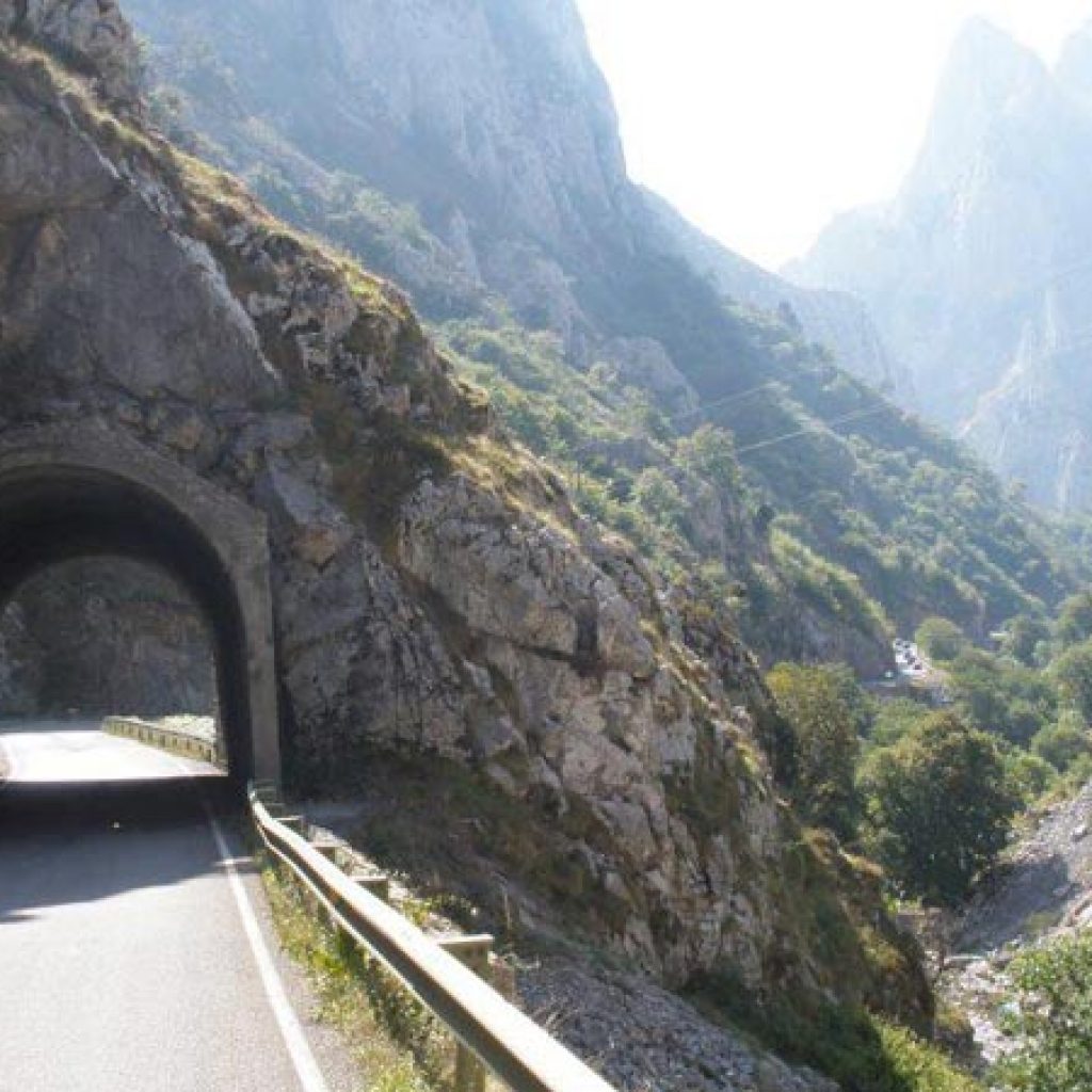 Alpine TT Ltd - Small Tunnel