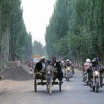 Asian Motorcycle Adventure - Horse Transport