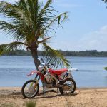 Brasil Moto Tours - Coconut Tree