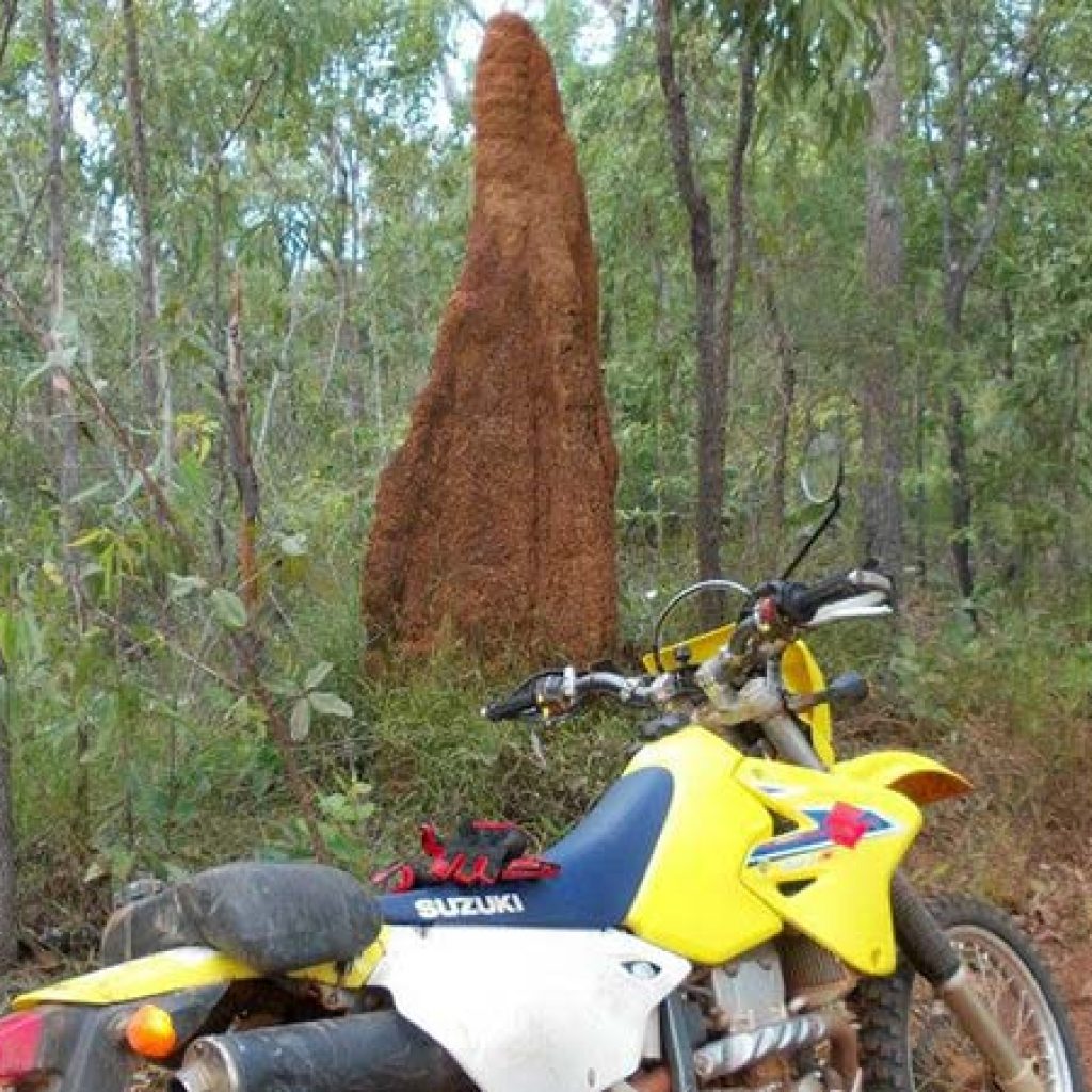 Capeyork Motorcycle Adventures (CYMCA) - Bike
