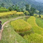 Explore Indochina - Rice Terraces Track