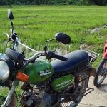 Hoi An Motorbike Adventures - Bikes near fields