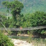 Jules Classic Adventure - Hanging Bridge