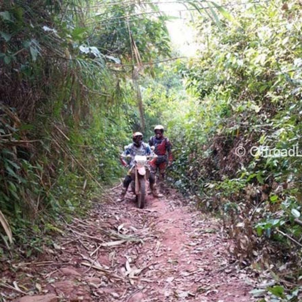 Off Road Laos Adventure - Bushy Trail