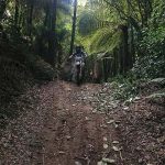 Pure Dirt Tours - jungle Trail