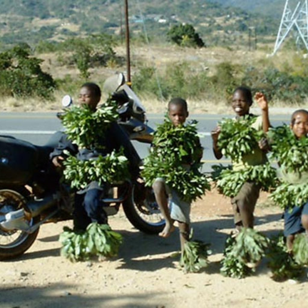 SAMA Motorcycle Tours - Swazi Kids