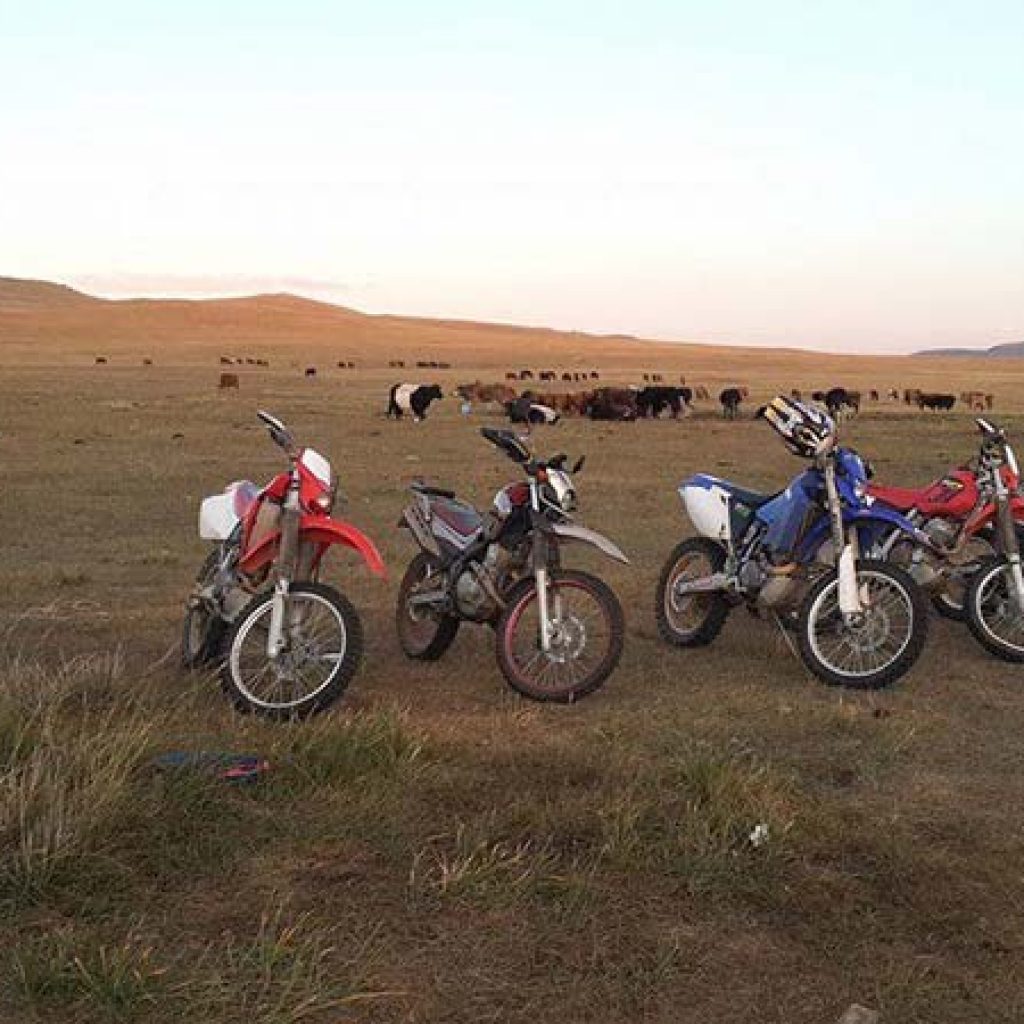 Wide Eyed Tours - Bikes in Mongolia