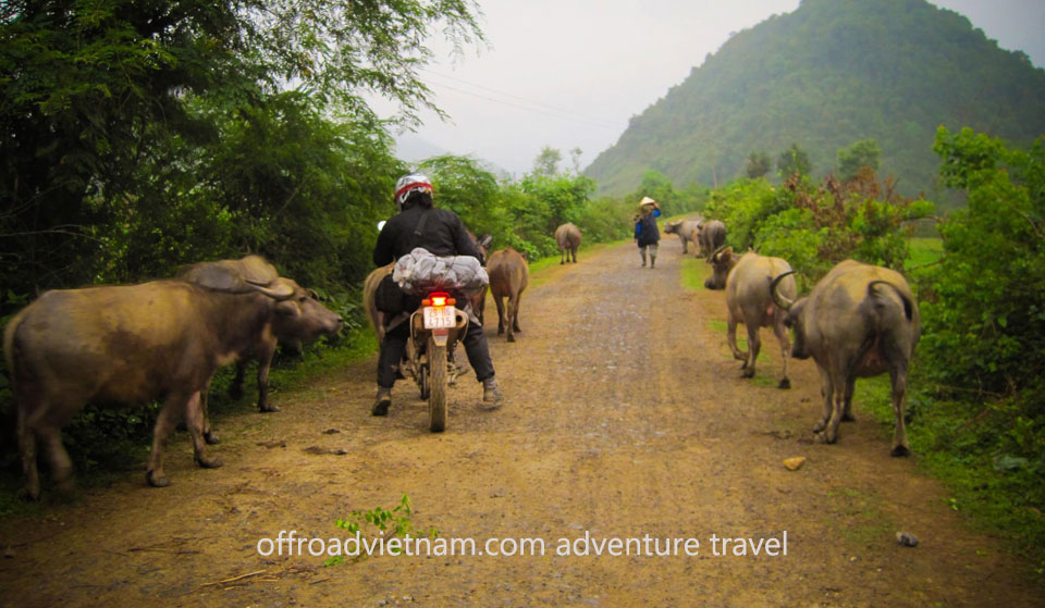 Offroad Vietnam Motorcycle Tours | Plan Your Ride in 2018 | Adventure Motorcycle Travel