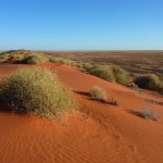 Simpson Desert - The view from the top of Big Red