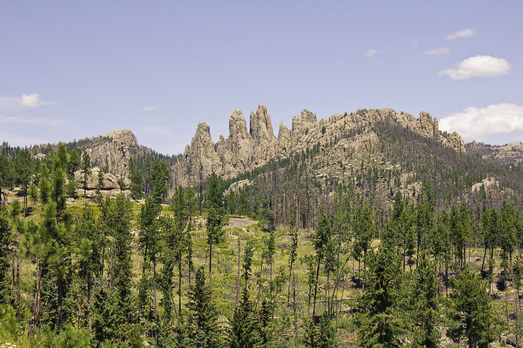 Needles Highway – Rock Formation
