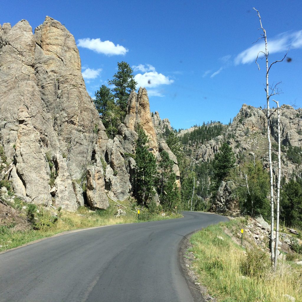 Needles Highway – Rock Formation 2