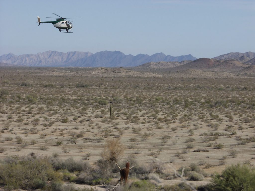 El Camino del Diablo-USA-Border Patrol