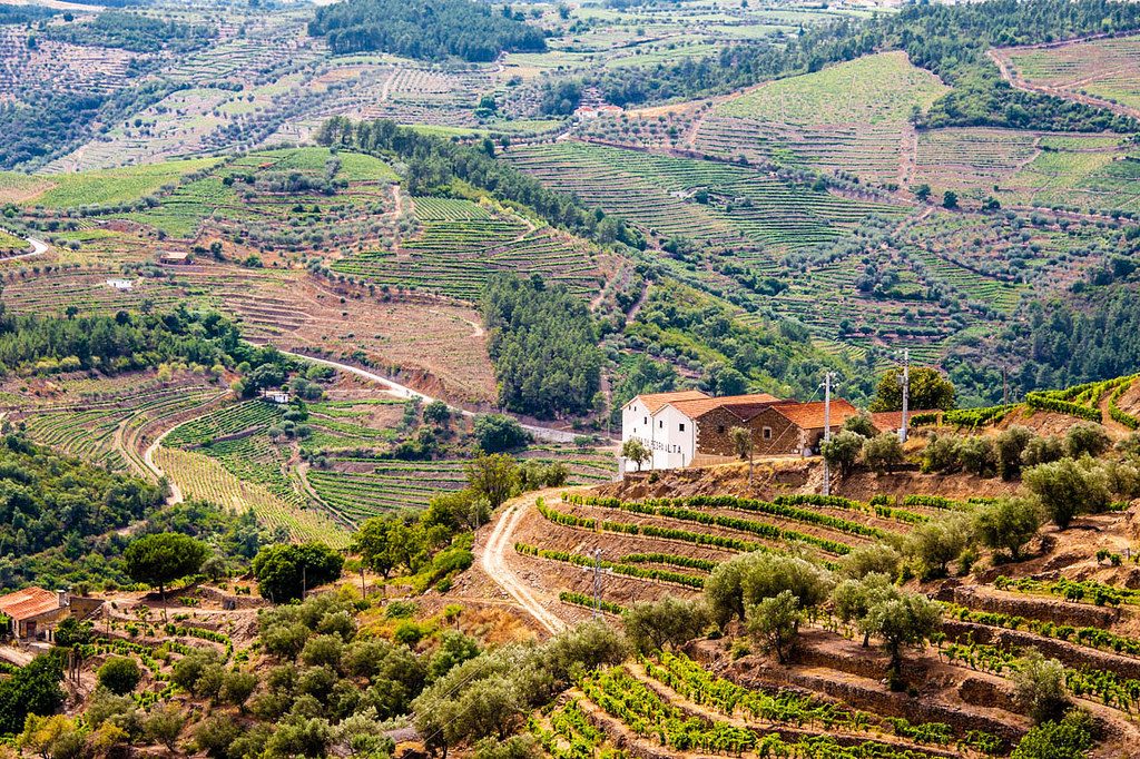 Estrada Nacional 222 - Douro Valley