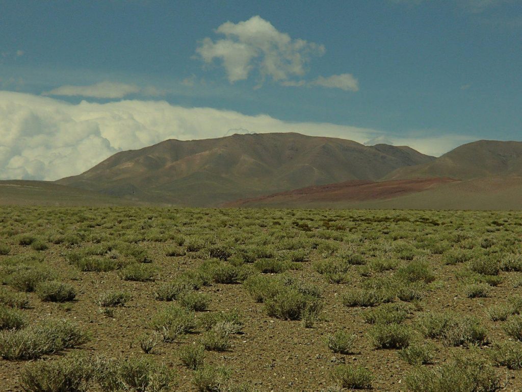 Route 23 - Chile - Scrubland at Pico Pass